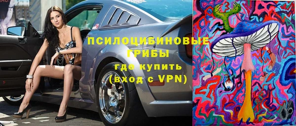 хмурый Лагань