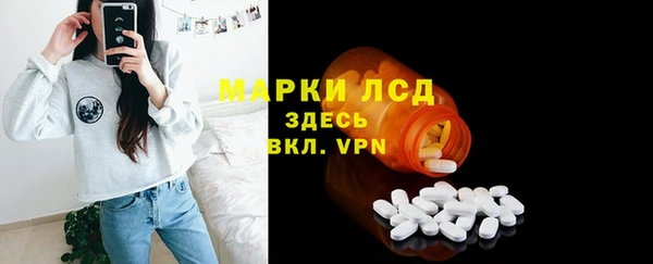 хмурый Лагань