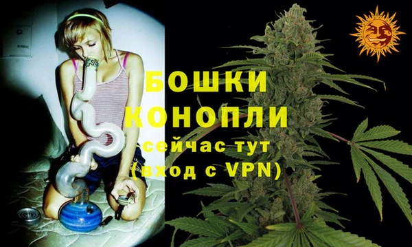 хмурый Лагань