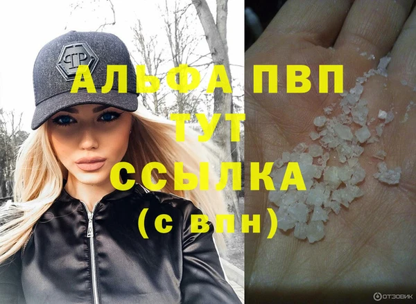 прущие грибы Тында