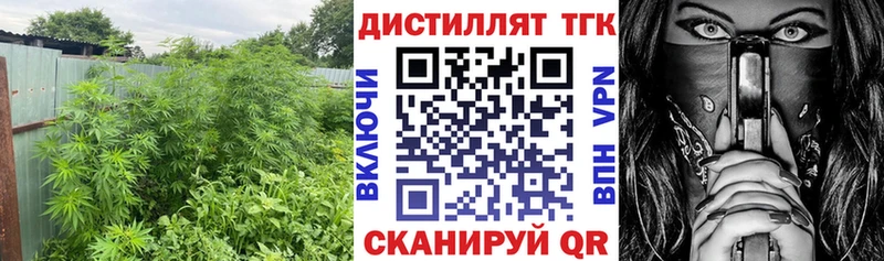 где купить   Стерлитамак  Дистиллят ТГК вейп с тгк 